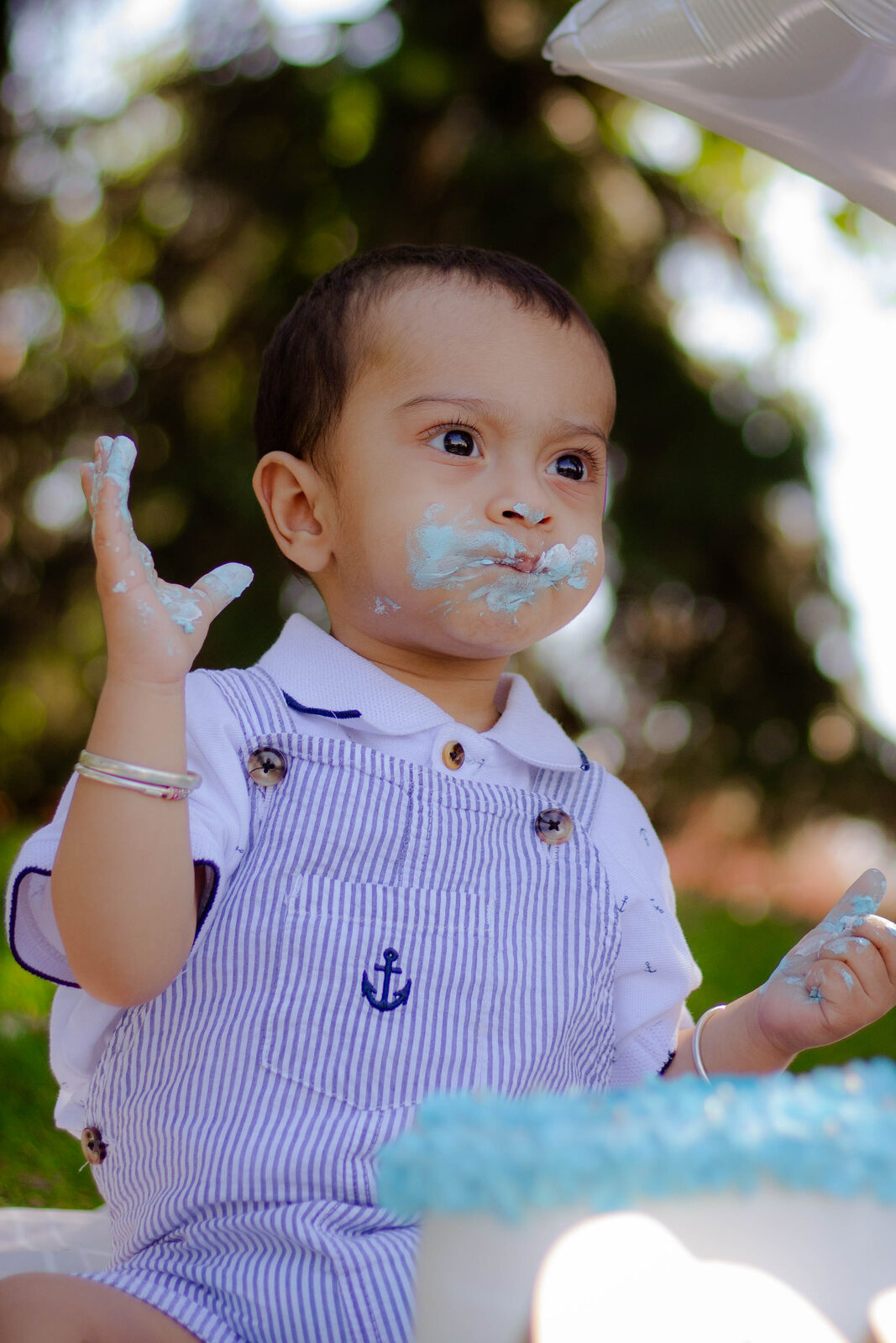 Cake smash session photo 1